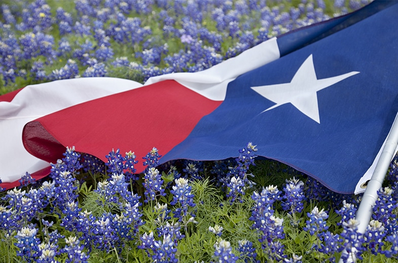 More Success in Texas